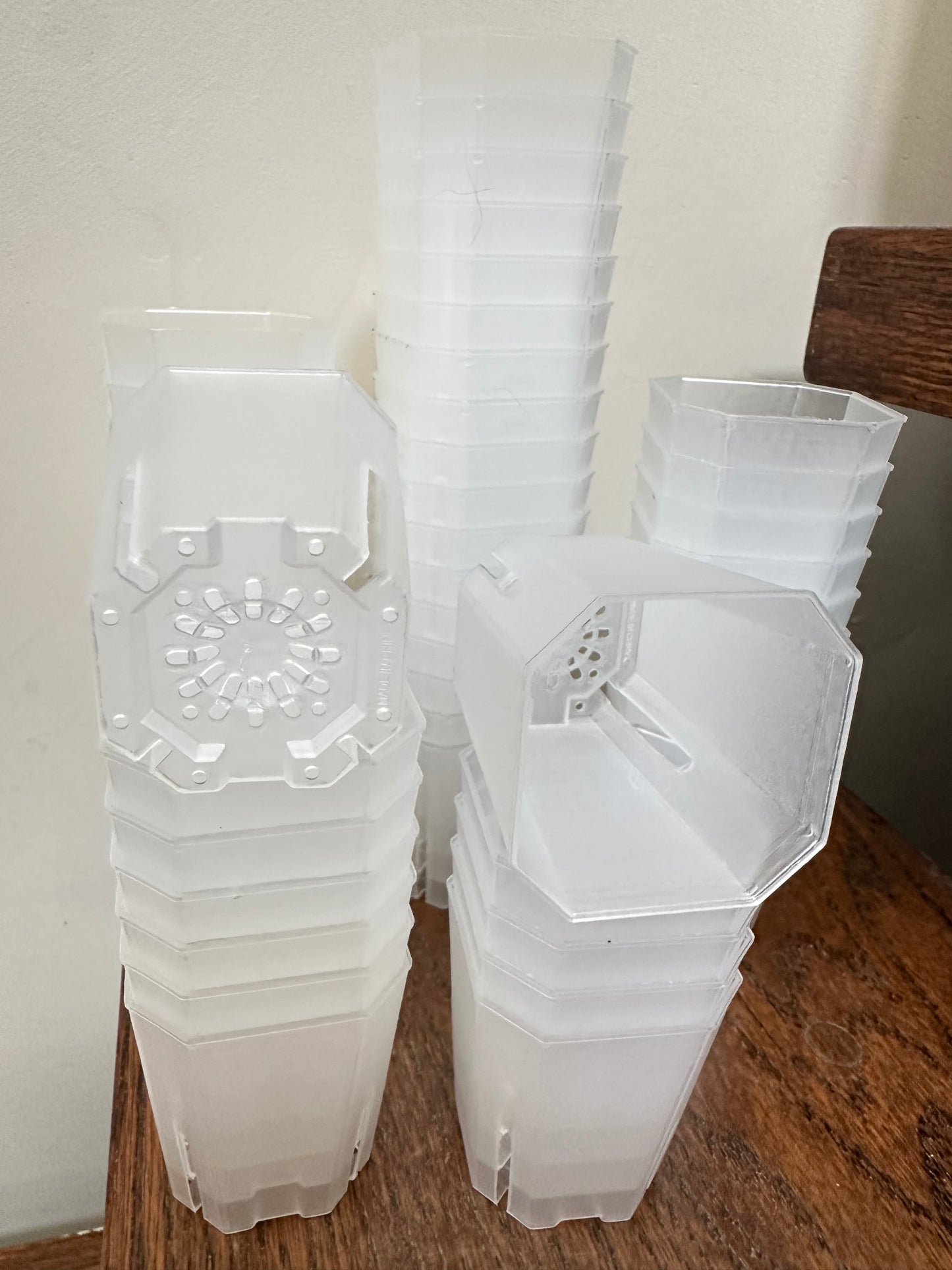 Transparent Pot 2”x 2.3” Tall