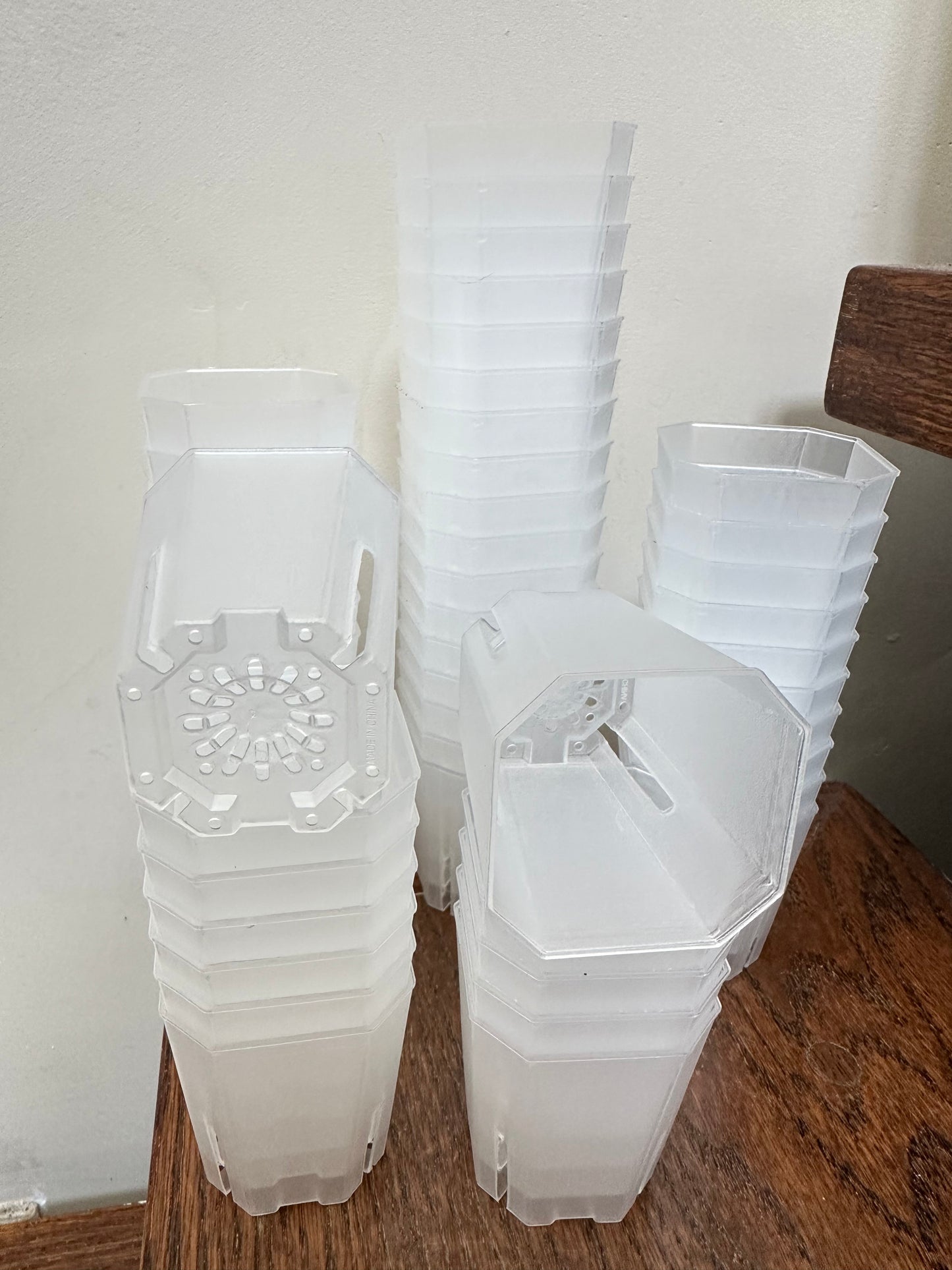 Transparent Pot 2”x 2.3” Tall