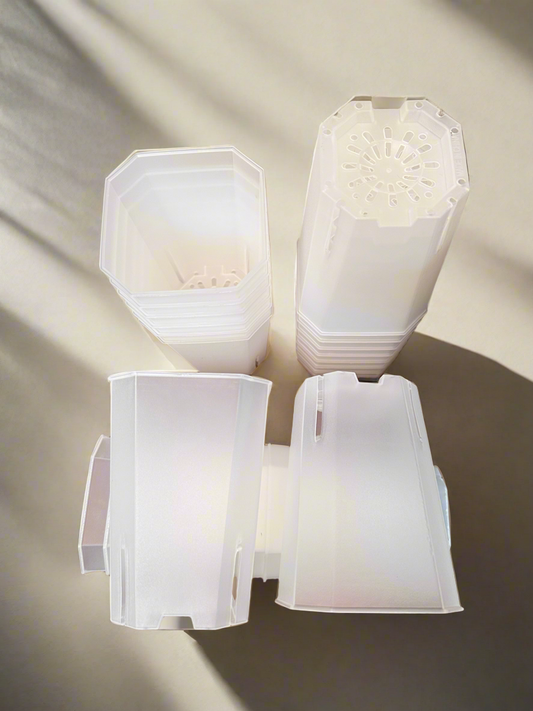 Transparent Pots 5” Tall, 3.5 x 4” Wide