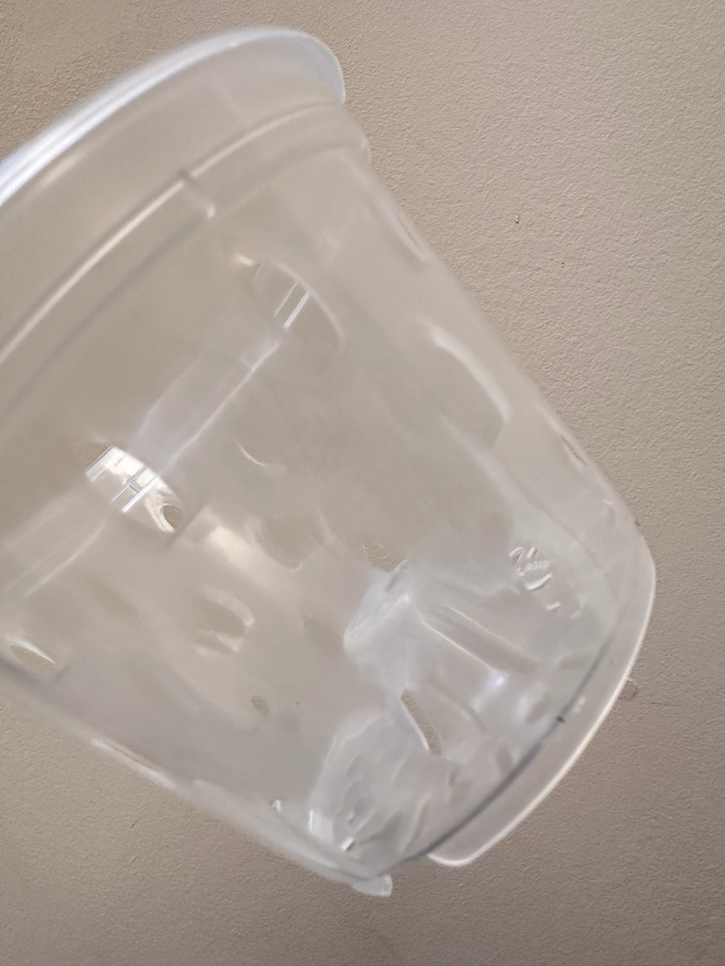 Transparent Pots - 4.5”