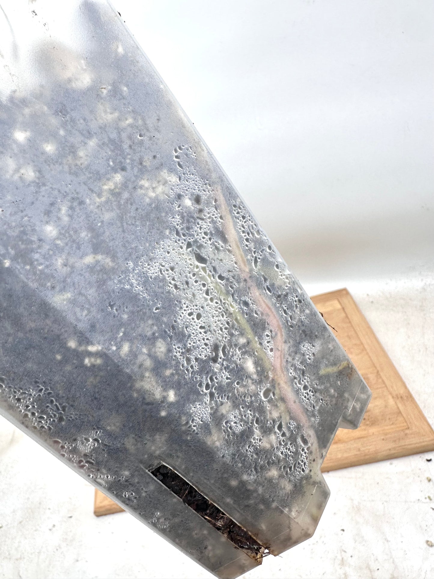 Anthurium Red Tiger - Good Size