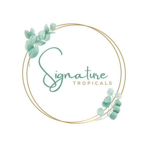 Signature Tropicals