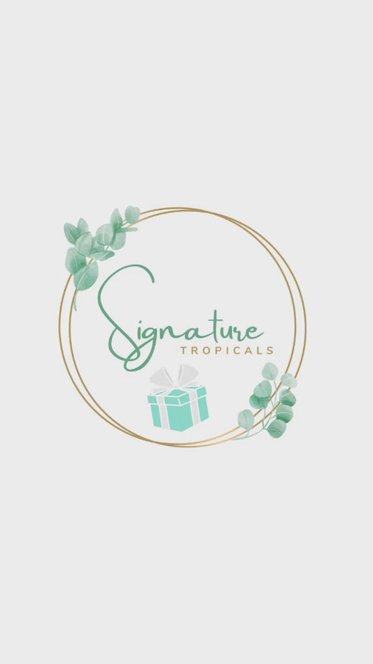 Signature Tropicals eGift Card